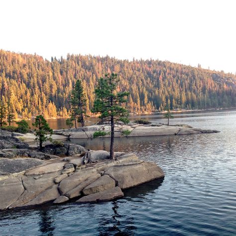 Pinecrest Lake California, Pinecrest Lake, Hume Lake, Sierra Nevada Mountains, Lake Resort, Sierra Nevada, Cabins In The Woods, California Travel, Summer Fun