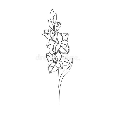 Gladiolus flower on white stock vector. Illustration of draw - 176422710 One Line Gladiolus Tattoo, Gladiolus Flower Line Drawing, Gladiolus Flower Line Art, Gladiolus Flower Embroidery, Gladiolus Line Art, Gladiolus Line Drawing, Gladiolus Tattoo Simple, Gladiolus Drawing, Gladiolus Flower Drawing