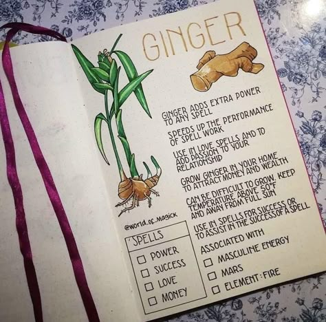 Herbal Witch, Grimoire Ideas, Witch Journal, Witch Herbs, Green Witchcraft, Magia Das Ervas, Witch Things, Plant Journal, Grimoire Book