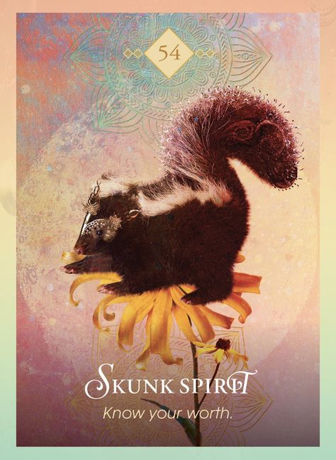 Daily Message from Spirit Animal Totem Skunk - “Today’s a great day to remind yourself you are worthy & deserving! Give yourself a BIG hug” #skunk #skunktotem #spiritanimaloracle www.MitchellOsborn.com #psychic #oracle #divination #medium #petpsychic #animalcommunication #wuvip #mitchellosborn #animalspirit #animaltotem #spirittotem #spiritanimal #poweranimal #totemanimal Animal Oracle Cards, Animal Totem Spirit Guides, Pet Psychic, Spirit Animal Meaning, Totem Animals, Animal Meanings, Animal Tarot, Spirit Animal Totem, Oracle Cards Decks