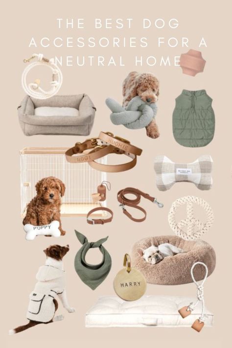 the best dog accessories for a neutral home Toy Dog Accessories, Dog Toys For Small Dogs, Cute Dog Essentials, Dog Neccesities, New Puppy Essentials, Cute Dog Accessories Dog Supplies, Dog Mom Essentials, Dog Essentials List, Boho Dog Accessories