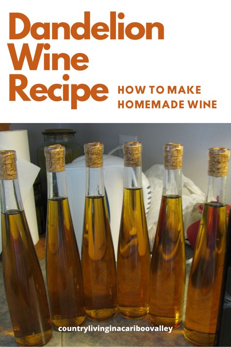 Dandelion Wine Recipe, Home Wine Making, Mead Wine Recipes, Dandelion And Burdock, Wine Making Recipes, Distilling Alcohol, Homemade Wine Recipes, Dandelion Wine, Dandelion Recipes