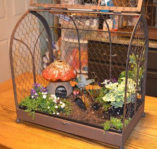 Indoor mini fairy garden in a bird cage house. Toadstool mushroom ... Indoor Fairy Garden, Indoor Fairy Gardens, Toadstool Mushroom, Fairy Furniture, Mini Fairy Garden, Faeries Gardens, Fairy Garden Houses, Garden Terrarium, Diy Fairy