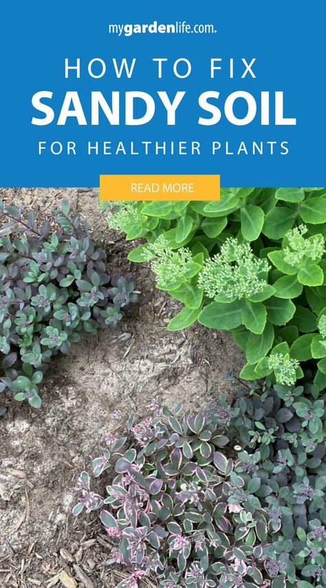 Discover how to fix and improve sandy soil for a lush garden. Explore enriching methods, landscaping ideas, and the best plants to thrive in your soil. Learn the secrets to creating a vibrant outdoor space with these essential tips. Find more at MyGardenLife.com! Diy Backyard Garden Ideas, Planting In Sandy Soil, Garden Fertilizers, Diy Backyard Garden, Backyard Garden Ideas, Improve Soil Quality, Beginner Gardening, Planting Shrubs, Thriving Garden