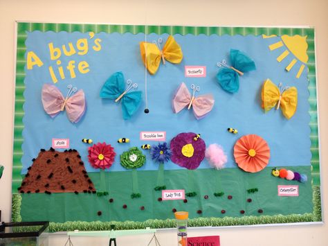 Bug Bulletin Board Ideas, Bugs Preschool Activities, Ladybug Bulletin Boards, Bulletin Boards Theme, Preschool Boards, Insects Preschool, Bugs Preschool, Lightning Bug, Spring Classroom