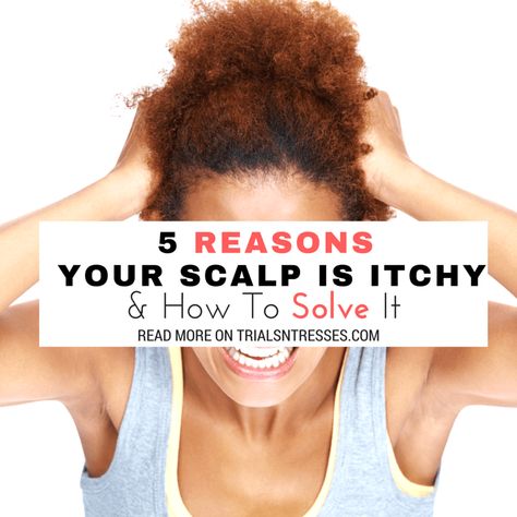 Itchy Dry Scalp Remedy, Itchy Scalp Causes, Itchy Head, Itchy Scalp Remedy, Itchy Flaky Scalp, Scalp Itch, Scalp Braids, Thick Hair Remedies, Dry Itchy Scalp