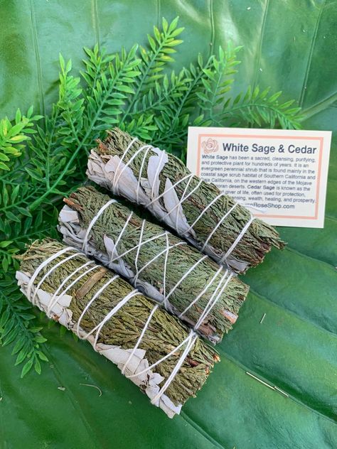 Sage Uses, Smudging Prayer, Cedar Smudge, Wicca Recipes, Sage Herb, Smudge Kit, Sage Smudging, White Sage Smudge, Sacred Plant