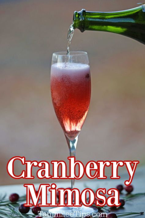 Easy Cranberry Mimosa Recipe is the perfect holiday cocktail! So easy to make with a couple of ingredients and can be customized. Make this Thanksgiving Cocktail into a Christmas Mimosa and enjoy the amazing flavor! Christmas Breakfast Drinks, Mimosa Recipe Easy, Cranberry Mimosa Recipe, Christmas Brunch Drinks, Peppermint Vodka, Pure Cranberry Juice, Cranberry Mimosa, Christmas Drinks Alcohol Recipes, Thanksgiving Cocktail