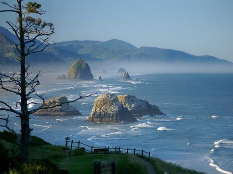 Ecola State Park Cannon beach Oregon Oregon Poster, Haystack Rock, Ecola State Park, Oregon Vacation, Astoria Oregon, Cannon Beach Oregon, Nature Posters, Oregon Travel, Cannon Beach