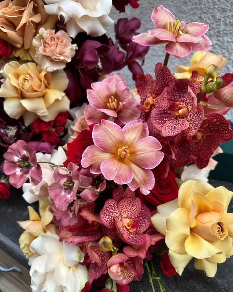 Elspeth Tull (@theblumestudio) • Instagram photos and videos Flowers Photo Ideas, Photography Flowers, Dried Flowers Colorful, Bright Floral Aesthetic, Flower Combinations, Colourful Bouquet Aesthetic, Colorful Flower Bouquet Aesthetic, Colorful Dried Flower Bouquet, Wildflower Wedding Theme