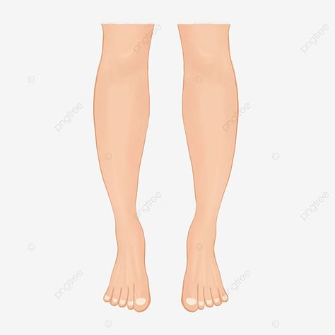 Legs Illustration, Leg Illustration, Art Classroom Rules, Long Vs Short Hair, Hd Illustration, Leg Picture, Cartoon Legs, Leg Drawing, Legs Drawing