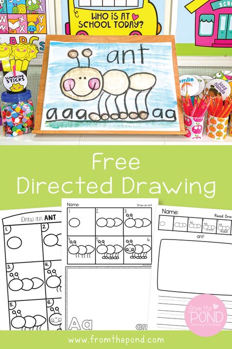 On this blog post we provide you with step-by-step photos and printable worksheets for drawing an ant for the letter a. Perfect for kindergarten and first grade. First Grade Drawing Lesson, 1st Grade Directed Drawing, Free Directed Drawing For Preschool, Directed Drawing Kindergarten Free, Alphabet Directed Drawing, Directed Drawings For Kindergarten, Kindergarten Drawing Worksheets, Bug Directed Drawing, Step By Step Drawing For Kindergarten