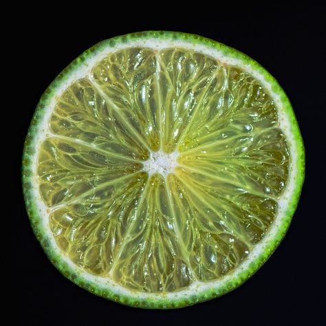 limeeee Lime Reference Photo, Coloured Drawings, Sketch Reference, Life Drawing Reference, Slice Of Lime, Realistic Drawing, Still Life Fruit, Background Drawing, Realistic Paintings