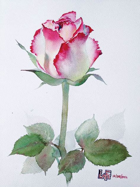 Watercolor Blog, Watercolor Video, Roses Drawing, Watercolor Flower Art, 수채화 그림, Watercolor Flowers Paintings, Rose Art, Watercolor Inspiration, Rose Painting