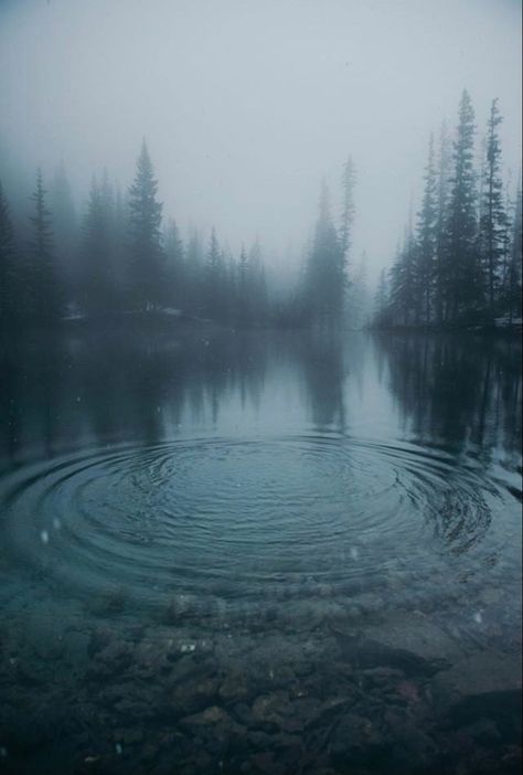 Foggy Lake, Dark Forest Aesthetic, Inspired Photos, Dark Landscape, Forest Aesthetic, Foggy Forest, Revenge Of The Fallen, Dark Nature, Dark Nature Aesthetic