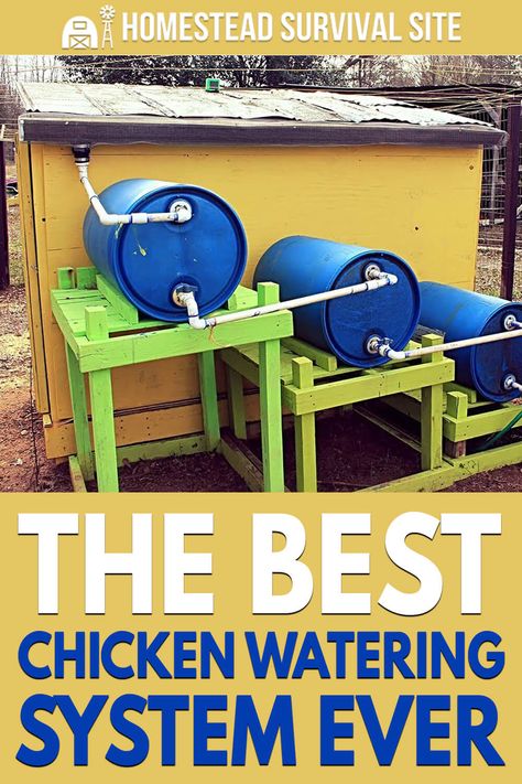 Water System For Chickens, Chicken Watering System, Prepping For Beginners, Chicken Waterer, Backyard Chicken Coop Plans, Chicken Coup, Diy Chicken Coop Plans, Backyard Chicken Farming, Chicken Garden