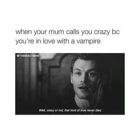 Legacies Quotes, Klaus Tvd, Damon Stefan, Vampire Quotes, Tvd Quotes, Games Quotes, Vampire Diaries Memes, Vampire Diaries Poster, Funny Image