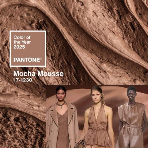 What do you think of Mocha Mousse, Pantones® color of the year for 2025? 🍫 Mocha Mousse is described as "a warming, brown hue imbued with richness. It nurtures us with its suggestion of the delectable qualities of chocolate and coffee, answering our desire for comfort." . #pantonecoloroftheyear #mochamousse #colorandstyle #becomeastylist White Runway, Mocha Mousse, Chocolate And Coffee, 2025 Trends, Deep Autumn, Deep Winter, Fashion Color, Color Of The Year, Pantone Color