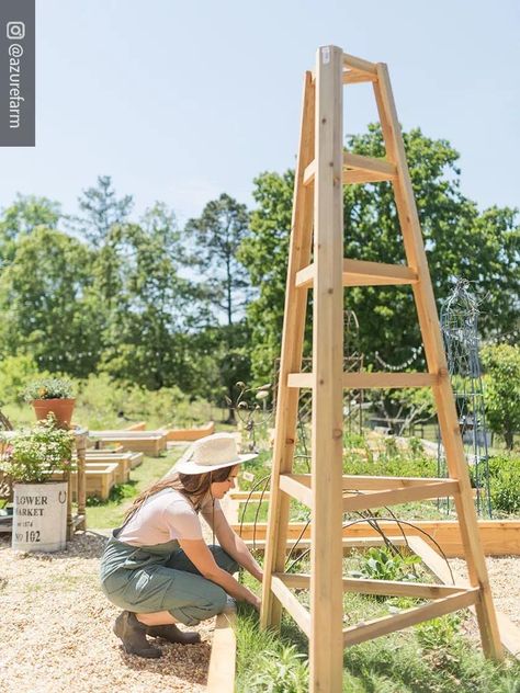 Gardener's Supply Company Cedar Wood Obelisk | 8 Feet Tall Outdoor Garden Structure Trellis Support for Climbing Flowers and Vining Vegetables #GreenhouseGardening #GardeningLife #OutdoorGardening #GrowYourOwn #GrowGreen #Sustainability #OrganicGardening #BackyardFarmer #GreenThumb #GrowItYourself How To Make A Trellis, Wood Obelisk, Trellis Ideas Garden, Vining Vegetables, Outdoor Trellis Ideas, Wooden Garden Ornaments, Trellis Arbor, Cedar Trellis, Backyard Bridges