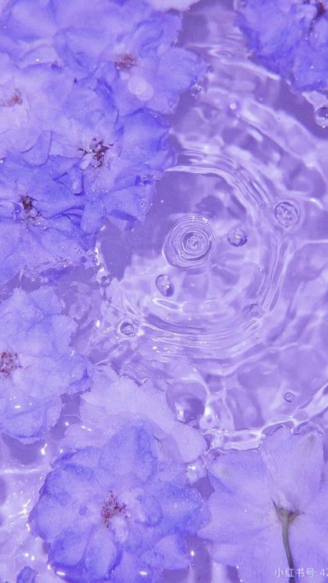 Lavender Homescreen Aesthetic, Paramochy Purple, Lavender Asthetics Photos, Lavender Asthetic Wallpers, Lavender Asethic, Aethstetic Purple, Lavender Ipad Wallpaper, Luvssoft Purple, Purple Asthetics Photos