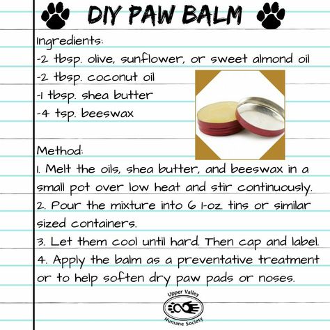 Dog Paw Cream, Paw Cream, Dog Paw Care, Dog Balm, Dog Paw Balm, Cream Dog, Best Dog Shampoo, Meds For Dogs, Easy Dog Treat Recipes