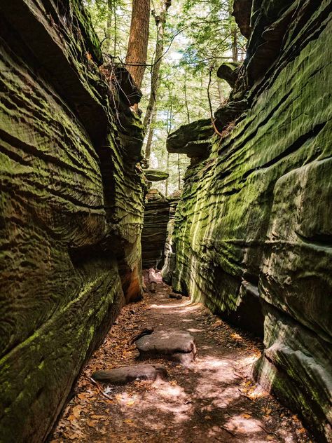 Hiking in Ohio: the Best Cuyahoga Valley National Park Trails — Adrift Aesthetic Cuyahoga Valley National Park Hiking, Wayne National Forest Ohio, Hiking Trail Aesthetic, Hiking In Ohio, Ohio Aesthetic, Ohio Hiking, Ohio Attractions, American Roadtrip, Brandywine Falls