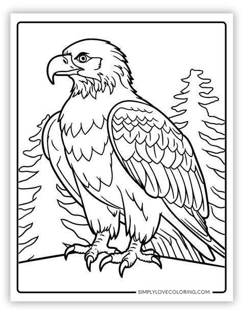 Free eagle coloring pages are the perfect activity for homeschooling, classrooms, teachers, kids' activities, and educational activities Eagles Coloring Pages, Eagle Coloring Pages, Eagles Colors, Colouring Printables, Black Feathers, Educational Activities, Free Coloring Pages, Kids Activities, Free Coloring