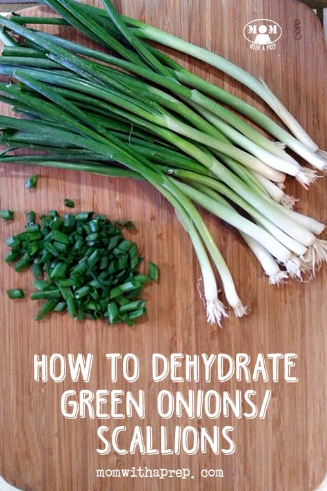 Dehydrate Green Onions, Dehydrator Ideas, Dehydrated Recipes, Dehydrating Recipes, Freezing Recipes, Dehydrating Food Storage, Dehydrated Fruits, Food Dehydration, Dips Recipes