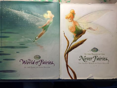 Disney Fairies Books, Two Fairies, Disney Faries, Disney Fairies Pixie Hollow, Tinkerbell And Friends, Pixie Hollow, Disney Fairy, Fairy Aesthetic, Muse Art