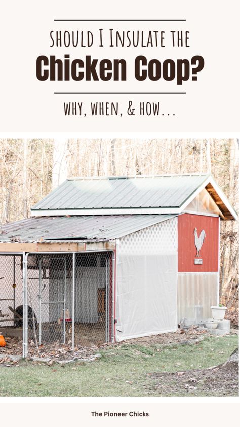 should I insulate the chicken coop? Chicken Coop Insulation, Insulate Chicken Coop, Coop Insulation, Insulated Chicken Coop, High Energy Foods, Chickens In The Winter, Meat Birds, Raising Backyard Chickens, Mini Farm