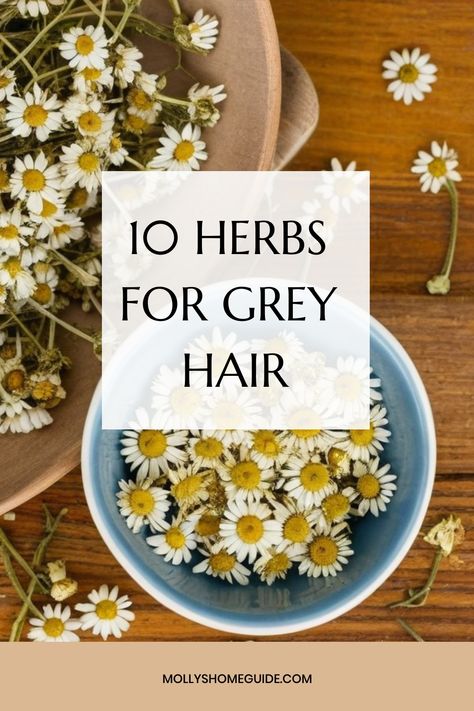 Discover the power of nature's remedies for grey hair with these effective herbs! From Ayurveda solutions like Amla and Fenugreek to classic favorites like Rosemary and Sage, learn how to naturally reverse grey hair. Boost hair growth and add shine using Nettle, Peppermint, and Aloe vera. Say goodbye to dull grey strands with herbal toners that promote healthier, thicker hair growth. Embrace your natural beauty by exploring these beneficial herbs for grey hair at home! Gray Hair Natural Remedy, Prevent Grey Hair Naturally, Natural Remedy For Hair Growth, How To Reverse Grey Hair Naturally, Reverse Grey Hair Naturally, Herbal Cabinet, Cosmetic Science, Reverse Grey Hair, Gray Hair Coverage