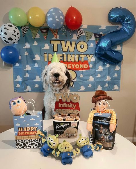 Amazon has all you need to celebrate your pup’s second birthday! #sheepadoodle #dogbirthday #dogmom 2nd Dog Birthday, Dogs Second Birthday Ideas, Dog Second Birthday Party, Dogs 2nd Birthday, Dog Party Themes, Dog Second Birthday, Dog 2nd Birthday Ideas, Dog Bday Party Ideas, Dog 2nd Birthday