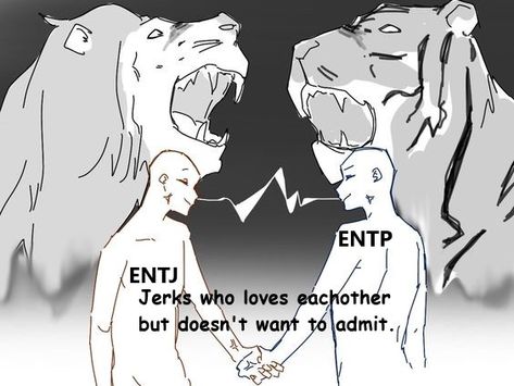 ENTP x ENTJ Relationship. Entp Genshin Impact, Entp X Entj Relationship, Entj And Intp Relationship, Entj Relationships, Intp Relationships, Entp And Intj, Entp Intj, Intp Personality Type, Intp Personality