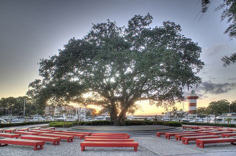 Liberty Oak- Harbour Town    Charles Fraser is buried under this tree. He was the original developer of Sea Pines on Hilton Head Island, SC. I Sea Pines Hilton Head, Hilton Head Island South Carolina, Harbor Town, Harbour Town, Hilton Head Island Sc, Coastal Lifestyle, Destination Wedding Locations, Paradise Found, One Thousand