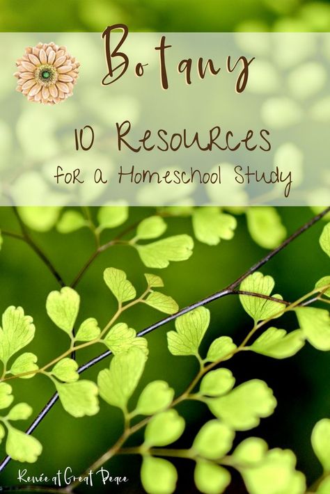 10 Resources for a Botany Homeschool Study | ReneeatGreatPeace.com #ihsnet #homeschool #science #botany Homeschool Botany, Garden Science, Study Of Plants, Botany Lessons, Homeschooling Science, Minimalist Homeschool, School Science Experiments, Relaxed Homeschooling, Living Organisms