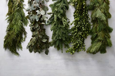 Your Guide to 8 Types of Lasting Greenery for Holiday Decorating Types Of Christmas Greenery, Different Types Of Wreaths, Types Of Garland Christmas, Different Types Of Garland, Olive Branch Garland, Christmas Banister, Xmas Garland, Natural Holiday Decor, Magnolia Decor