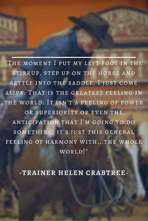 The moment I put my left foot in the stirrup, step up on the horse and settle into the saddle, I just come alive. That is the greatest feeling in the world. It isn't a feeling of power or superiority or even the anticipation that I'm going to do something; it's just this general feeling of harmony with ... the whole world! - Helen Crabtree, Saddlebred trainer Horseback Riding Quotes, Horsemanship Quotes, Rodeo Quotes, Equine Quotes, Barrel Racing Quotes, Horse Quote, Horse Sayings, Horse Humor, Horse Jokes