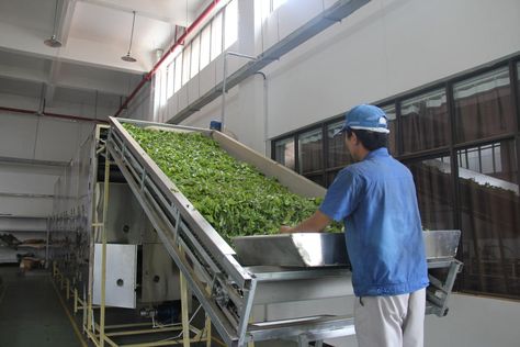 Tea Factory, Loose Leaf Teas, Organized Kitchen, Organic Tea, Tea Garden, Chinese Tea, Organic Teas, Loose Tea, Loose Leaf Tea