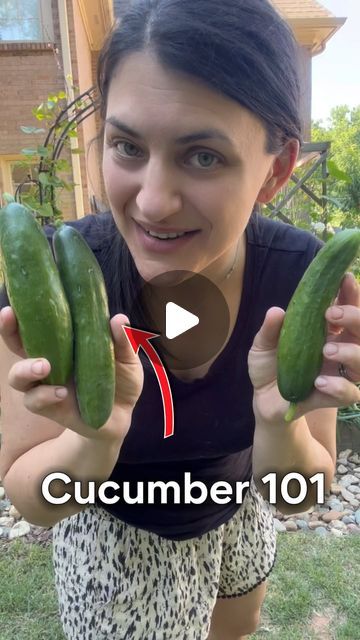 Michelle 🌱 GardensandChickens🐓 Gardener | plant nerd on Instagram: "Here’s how to grow cucumbers vertically on a trellis and how to prune to maximize your cucumber harvest this year.   I love planting cucumbers and making pickles during the summer time — at least perform the squash vine borers and pickle worms let me 😂  #growingcucumbers #gardening #planting #smallgardentips #growyourownveggies #growyourownfood #gardeninginthesouth #zone8a #atlantagarden #georgiagarden" How To Grow Cucumbers Vertically, Growing Cucumbers In Containers, Cucumber Growing, How To Plant Cucumbers, How To Prune Cucumber Plants, How To Grow Cucumbers, Cucumber Trellis Ideas, When To Harvest Cucumbers, Cucumber Garden Trellis