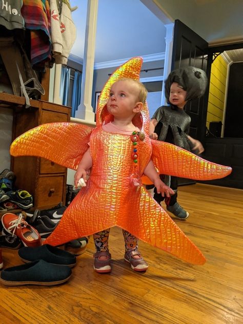 A sewing pattern review for No Pattern Used Starfish costume. Pattern reviews help sewers choose the right patten so that they have success with their sewing projects. Starfish Costume, Nemo Costume, Paper Dress Patterns, Rainbow Fish, Sewing Workshop, Costume Patterns, Vogue Patterns, Finding Nemo, Wool Fabric