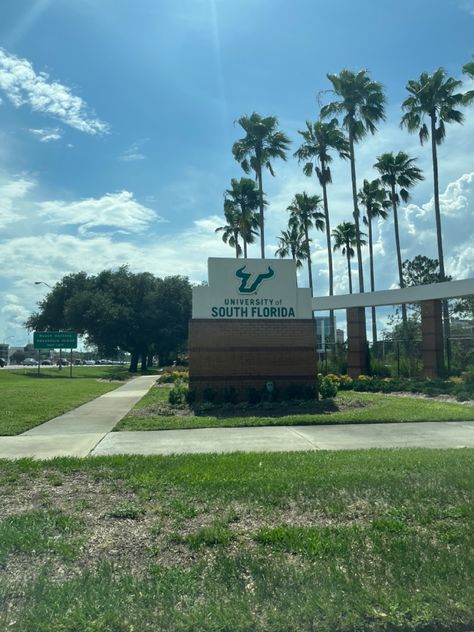 Usf Aesthetic, University Of South Florida Aesthetic, Florida State University Aesthetic, Florida International University Campus, Usf Bulls, College Goals, Colleges In Florida, University Of South Florida, Dream College