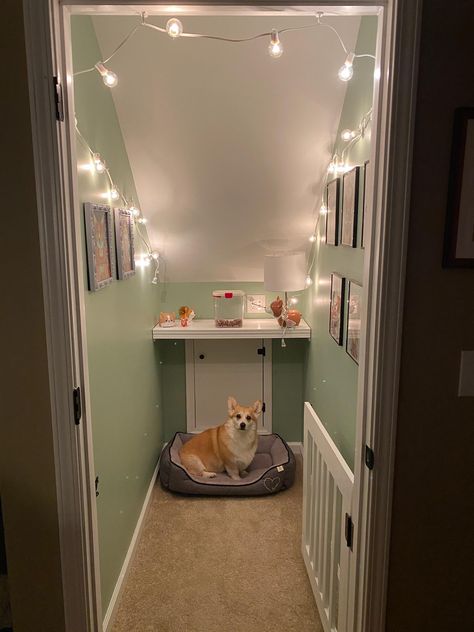 Dog Room Ideas In Closet, Room For Dog In House, Closet Dog Room, Dog Bed Under Stairs, Home Dog Room, Puppy Room Decor, Dog Bedroom Ideas, Dog Room Design, Dog Room Decor