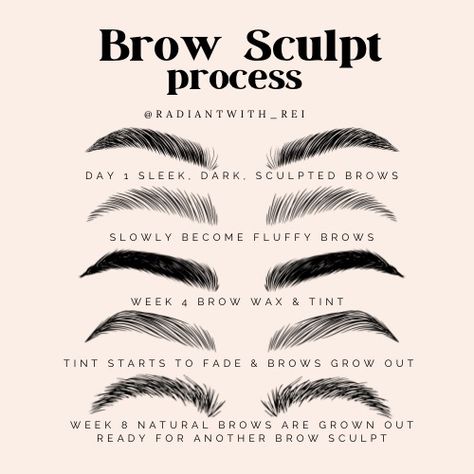 Brow Sculpt: brow lamination, stain, shaping, and waxing Eyebrow Lamination Shapes, Brow Lamination Shape, Brow Lamination Process, Brow Lamination Captions, Brow Lamination Business, Brow Lamination Tips, Eyebrow Lamination Aesthetic, Brow Lamination Benefits, Brow Lamination Quotes