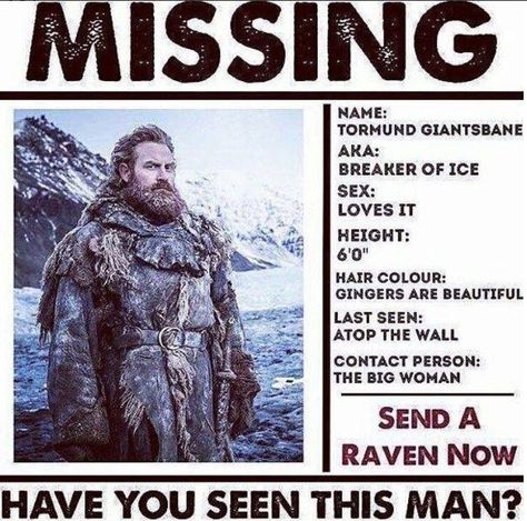 Missing: Tormund, Game of Thrones. Tormund Game Of Thrones, Kristofer Hivju, Game Of Thrones Instagram, Game Of Thrones Meme, Game Of Thrones Facts, Trendy Games, Valar Dohaeris, Game Of Thrones Quotes, Game Of Thrones Funny