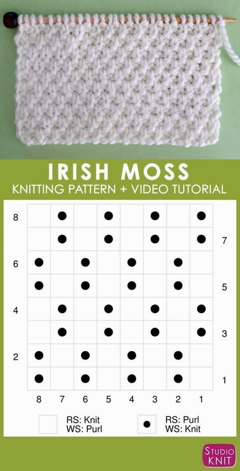 Irish Moss Stitch, Moss Stitch Pattern, Studio Knit, Easy Knitting Projects, Irish Moss, Seed Stitch, Moss Stitch, How To Purl Knit, How To Knit