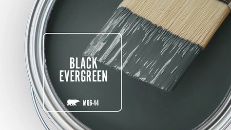 Black Evergreen MQ6-44 | Behr Paint Colors Behr Exterior Paint, Behr Marquee, Behr Colors, Behr Paint Colors, Behr Paint, Green Paint Colors, Home Paint, Paint Sheen, Colors For Home