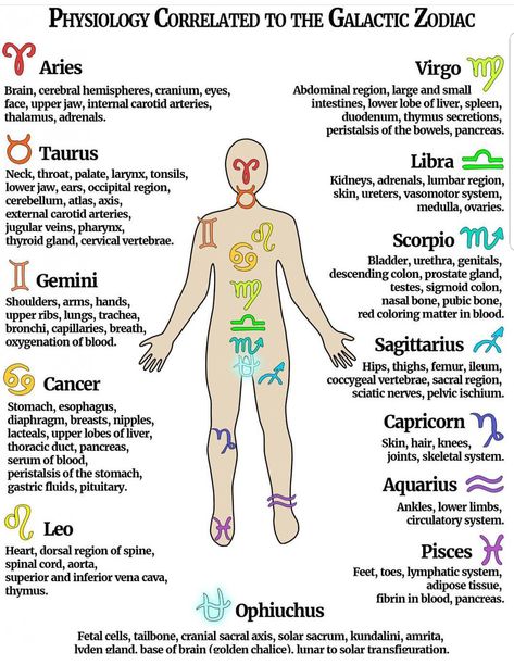 Energetic Synthesis, Internal Carotid Artery, Medical Astrology, Astrology Meaning, Carotid Artery, Energetic Body, Birth Chart Astrology, Learn Astrology, Astrology And Horoscopes