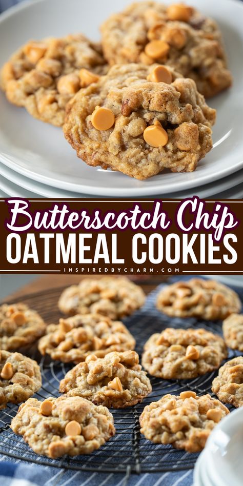 Bring a little sweetness into your day with our Butterscotch Chip Oatmeal Cookies. This recipe blends the rich flavors of butterscotch and pecans with the wholesome goodness of oats for a cookie that tastes like home. Whip up a batch today for a simple treat that feels like a special occasion. Butterscotch Oatmeal Cookies, Butterscotch Oatmeal, Chewy Oatmeal Cookie, Butterscotch Chip, Oatmeal Butterscotch, Butterscotch Chip Cookies, Oatmeal Butterscotch Cookies, The Best Oatmeal, Butterscotch Cookies