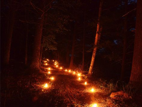 Candlelit forest path Fire Wedding, School Core, Fake Candles, Glass Votives, Forest Light, Forest Path, Night Scenery, Halloween Scene, You Left