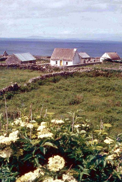 Aran Islands Ireland, Beautiful Ireland, Aran Islands, Love Ireland, Irish Landscape, Irish Cottage, Into The West, Irish Heritage, Emerald Isle